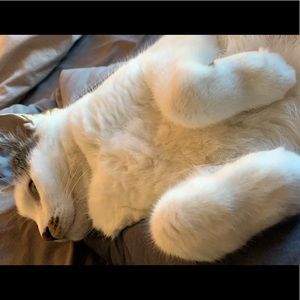 Meet your Posher, Rita